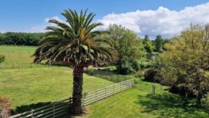 location gite 10 personnes près de Perros Guirec