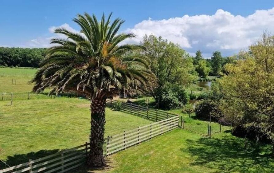 location gite 10 personnes près de Perros Guirec