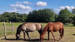 Location de gite au calme proche de Perros Guirec